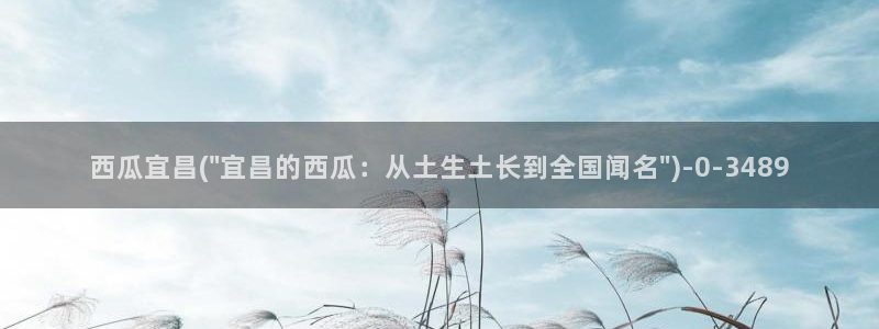 西瓜影院在线高清观看