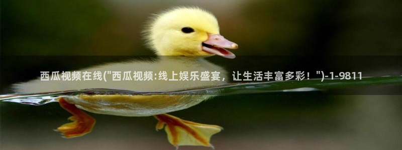 隔壁的女孩西瓜影院