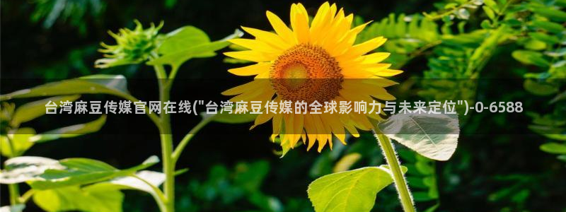 麻豆官网传媒：台湾麻豆传媒官网在线(\