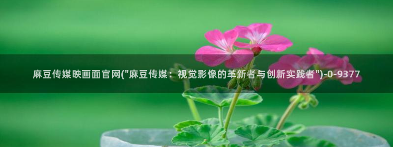 麻豆md传媒官网：麻豆传媒映画面官网(\