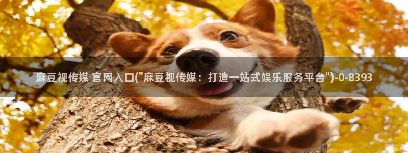 麻豆影视传媒文化官网：麻豆视传媒 官网入口(\