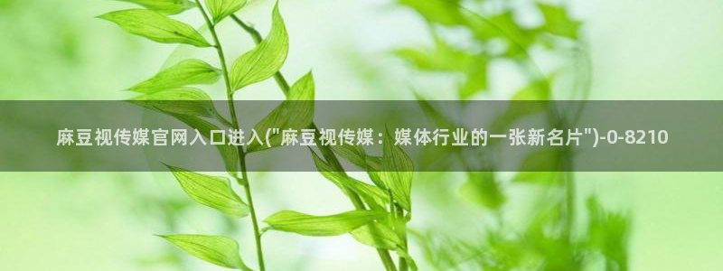 麻豆映画传媒视频官网：麻豆视传媒官网入口进入(\