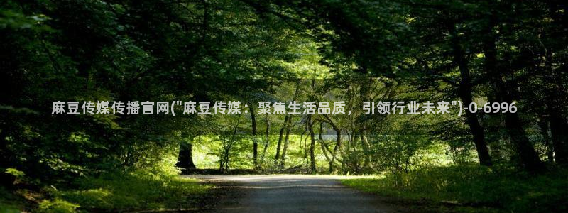 麻豆床传媒官网天美：麻豆传媒传播官网(\