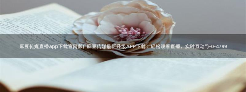 麻豆床传媒官网2021
