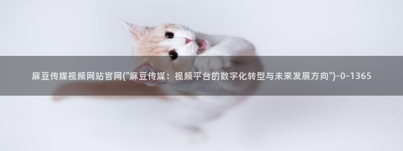 麻豆传媒官网应聘：麻豆传媒视频网站官网(\