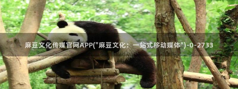 麻豆影视传媒官网入口：麻豆文化传媒官网APP(\