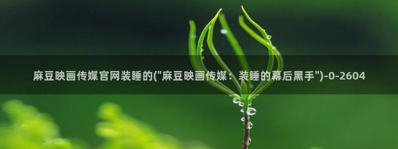 麻豆传媒眏放官网