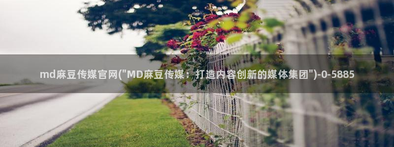 麻豆影像传媒官网地址