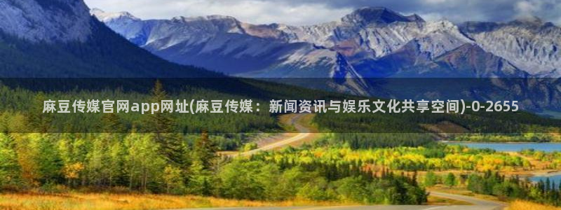 麻豆传媒官网001