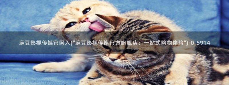 91麻豆传媒官网