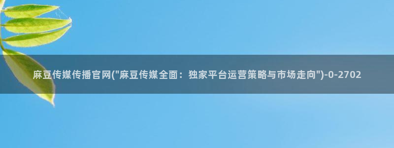 mopub麻豆传媒官网