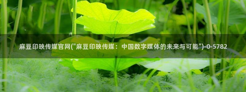 麻豆传媒印画官网