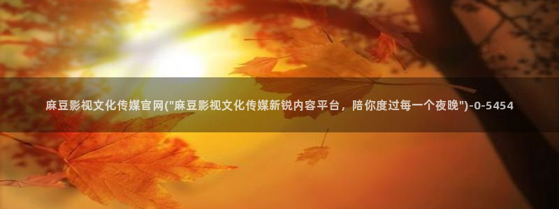 麻豆传媒影视官网入口