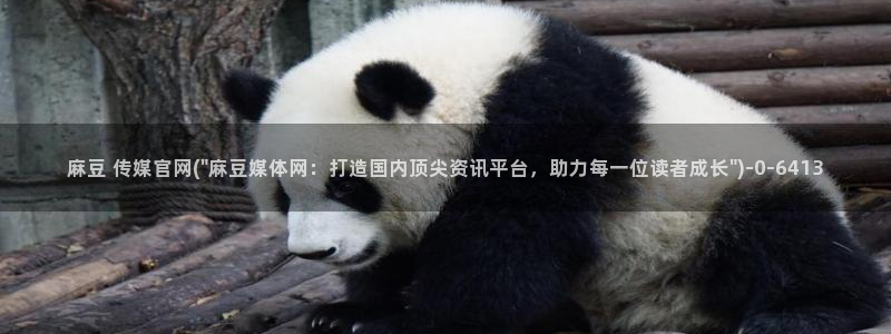 麻豆传媒官网草莓视频