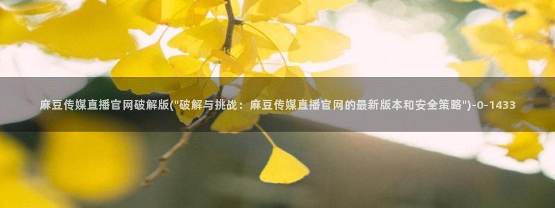 麻豆传媒台湾官网