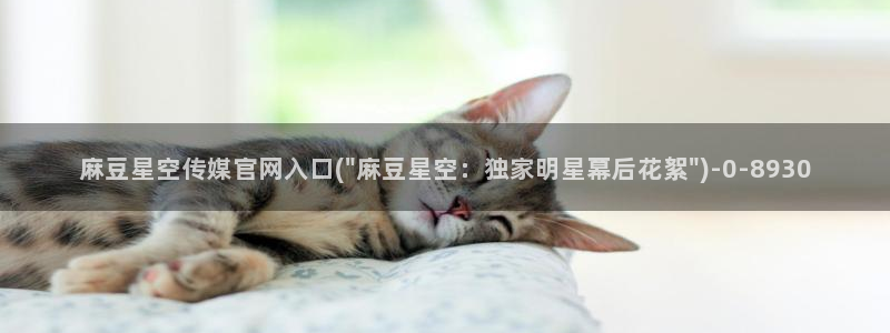 台湾91麻豆传媒官网：麻豆星空传媒官网入口(\