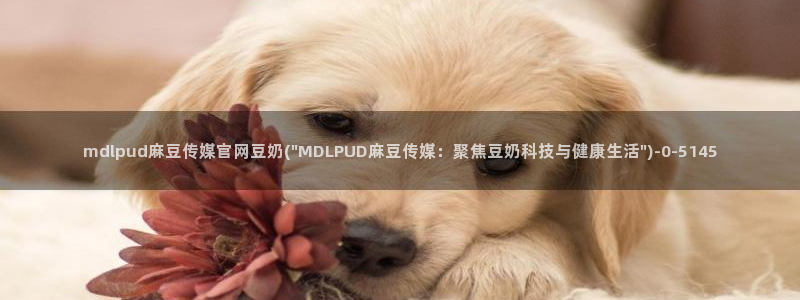 麻豆娱乐传媒官网：mdlpud麻豆传媒官网豆奶(\