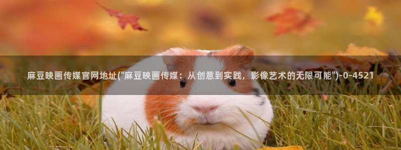 麻豆传媒官网梦梦