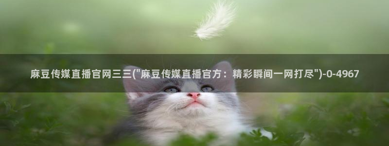 麻豆视传媒官网在哪