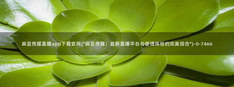 麻豆传媒官网怎么打开