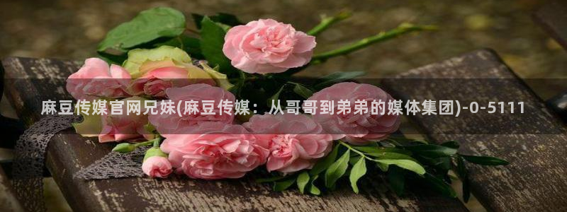 mdmup麻豆传媒官网