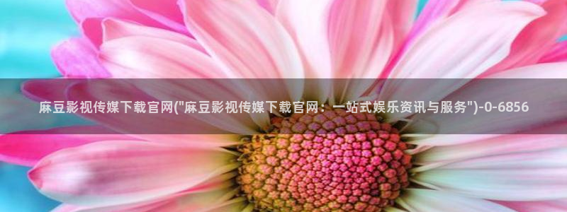 麻豆有限传媒官网