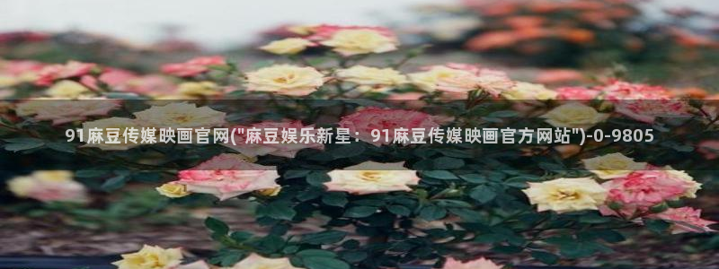 麻豆娱乐传媒官网