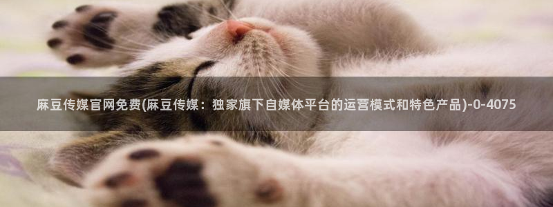 麻豆传媒视官网