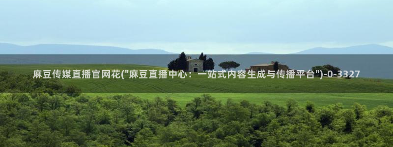 麻豆的官网在线传媒