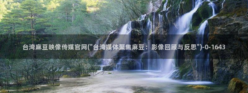麻豆A 传媒官网进入