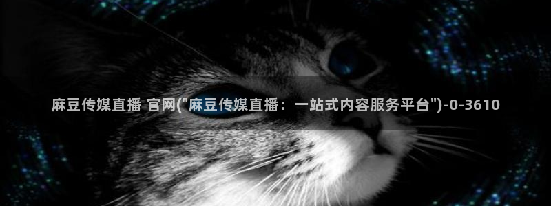 麻豆斤传媒官网