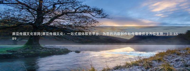 麻豆传媒视频在线官网